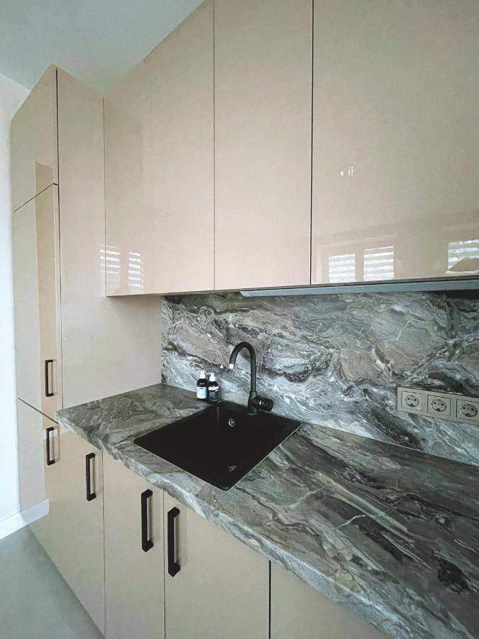 Sodu Apartment 考纳斯 外观 照片