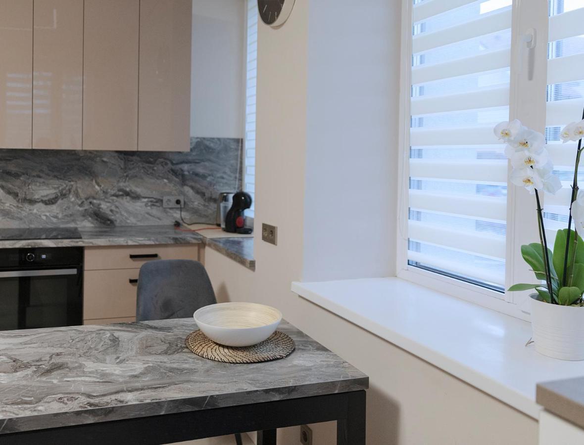 Sodu Apartment 考纳斯 外观 照片