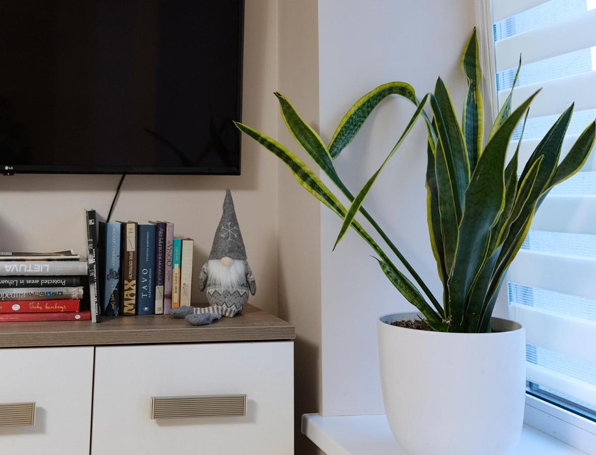 Sodu Apartment 考纳斯 外观 照片