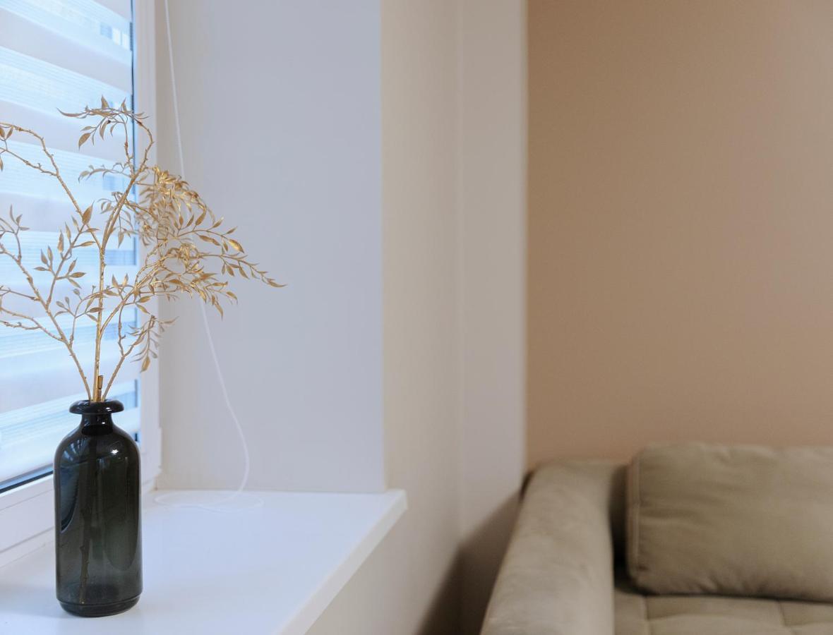 Sodu Apartment 考纳斯 外观 照片