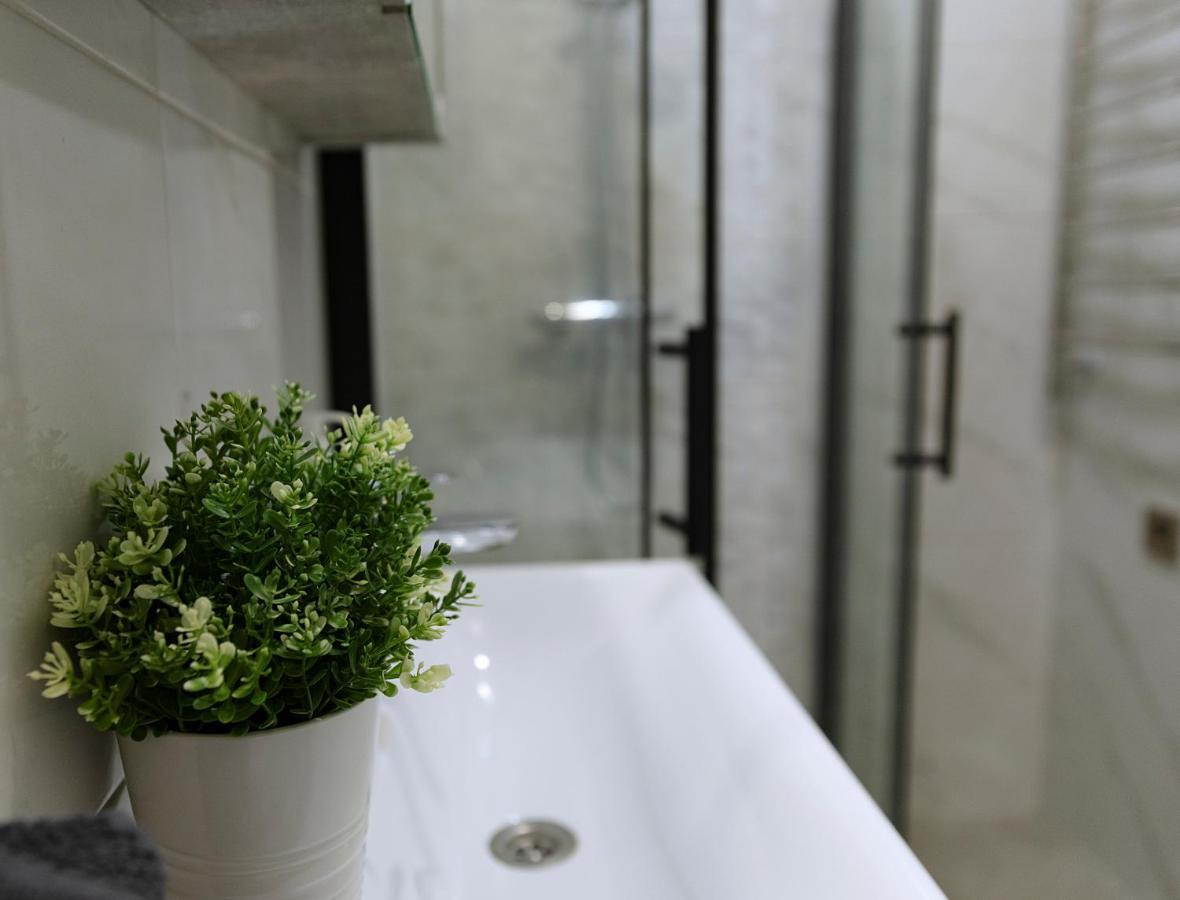 Sodu Apartment 考纳斯 外观 照片